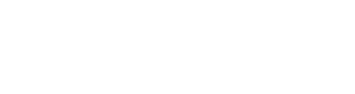 bnp-logo-white