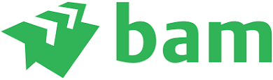 Royal BAM Group's logo 